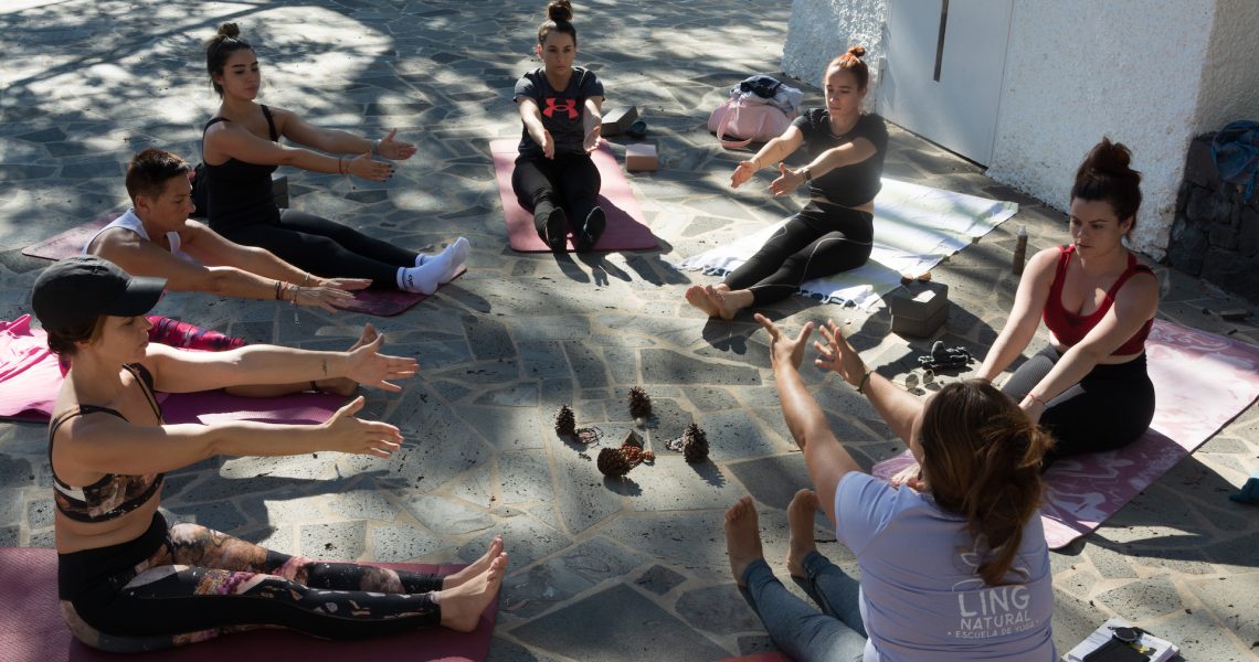 Jornada de 6 horas: Yoga, meditación, gestión del estrés, técnicas de relajación y explicamos los fundamentos de la práctica.